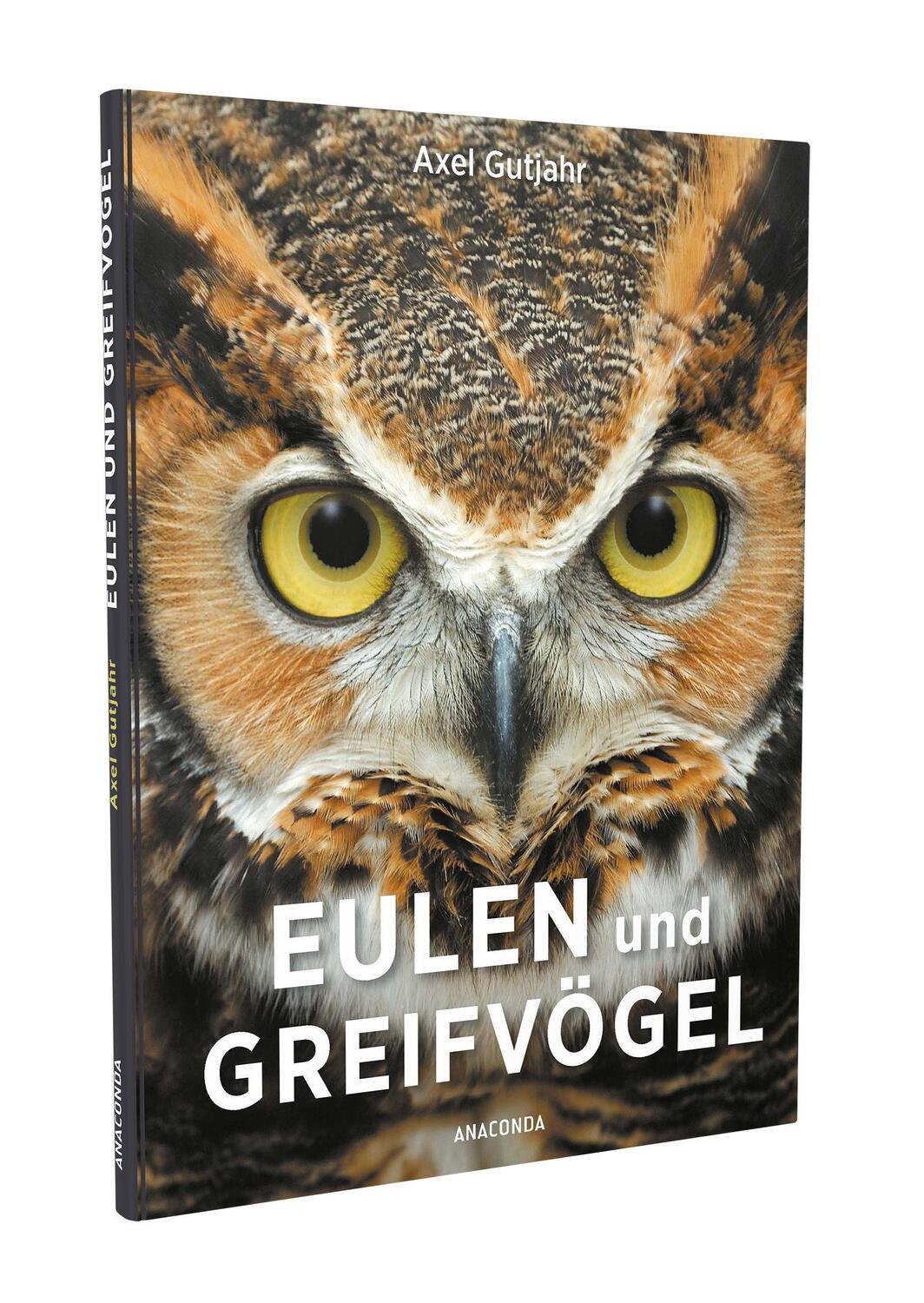 Bild: 9783730606919 | Eulen und Greifvögel | Axel Gutjahr | Taschenbuch | Deutsch | 2019