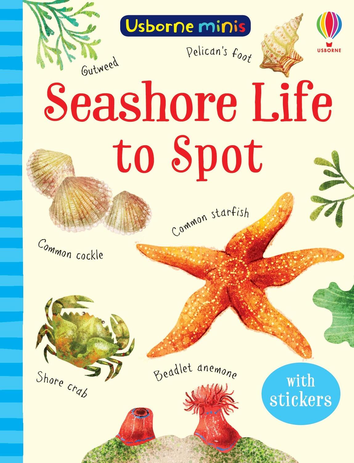 Cover: 9781474974981 | Seashore Life to Spot | Sam Smith | Taschenbuch | Usborne Minis | 2021