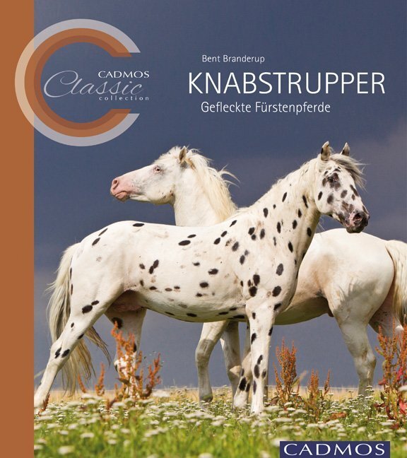 Cover: 9783840400032 | Knabstrupper | Gefleckte Fürstenpferde | Bent Branderup | Taschenbuch