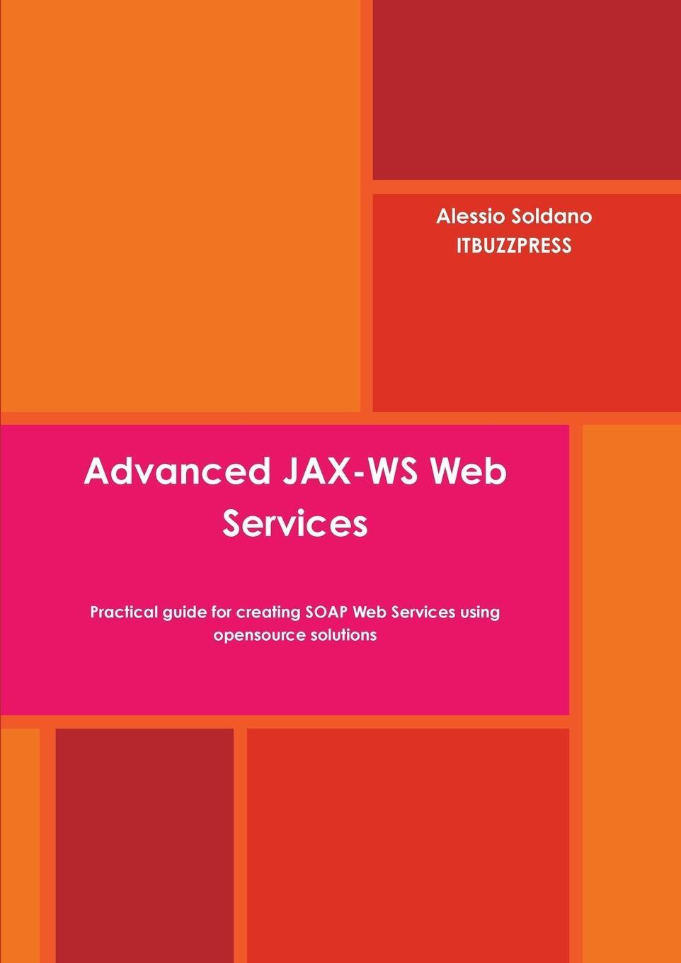Cover: 9788894038910 | Advanced JAX-WS Web Services | Alessio Soldano | Taschenbuch | 2014