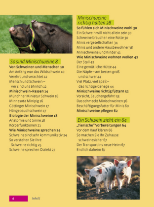 Bild: 9783440132371 | Minischweine | Haltung, Pflege, Erziehung | Elke Striowsky | Buch