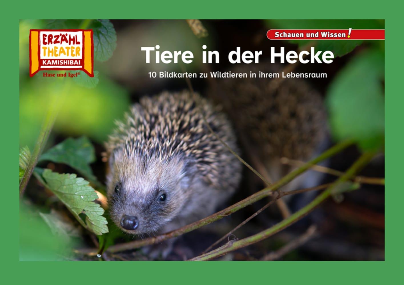 Cover: 4260505832957 | Tiere in der Hecke / Kamishibai Bildkarten | Taschenbuch | 10 S.