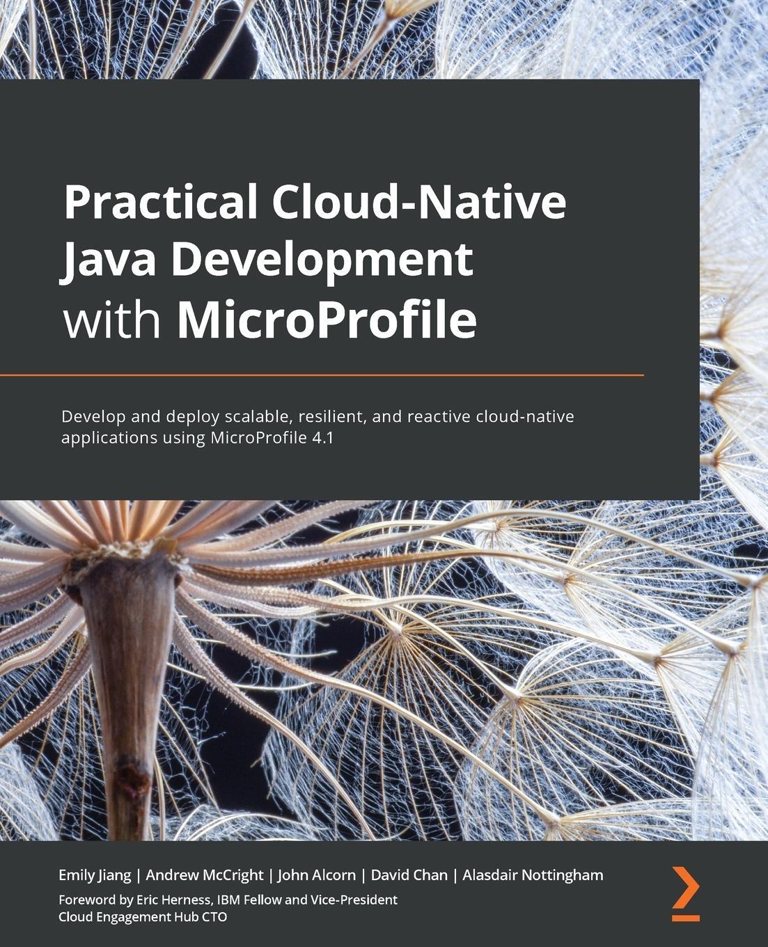 Cover: 9781801078801 | Practical Cloud-Native Java Development with MicroProfile | Buch