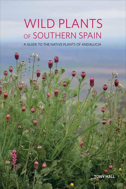 Cover: 9781842466315 | Wild Plants of Southern Spain | Tony Hall | Taschenbuch | Englisch