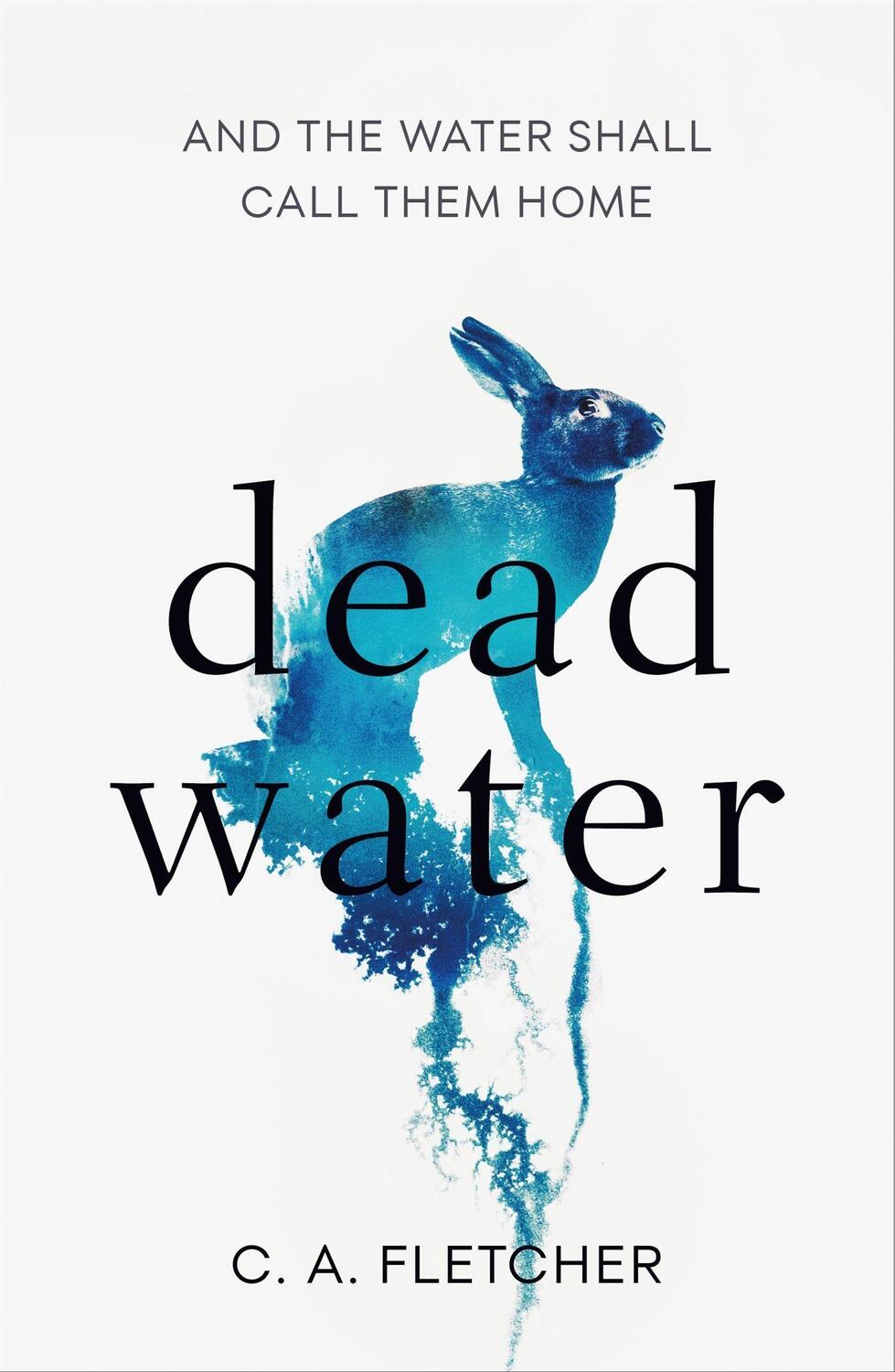 Cover: 9780356513836 | Dead Water | A novel of folk horror | C. A. Fletcher | Buch | Gebunden
