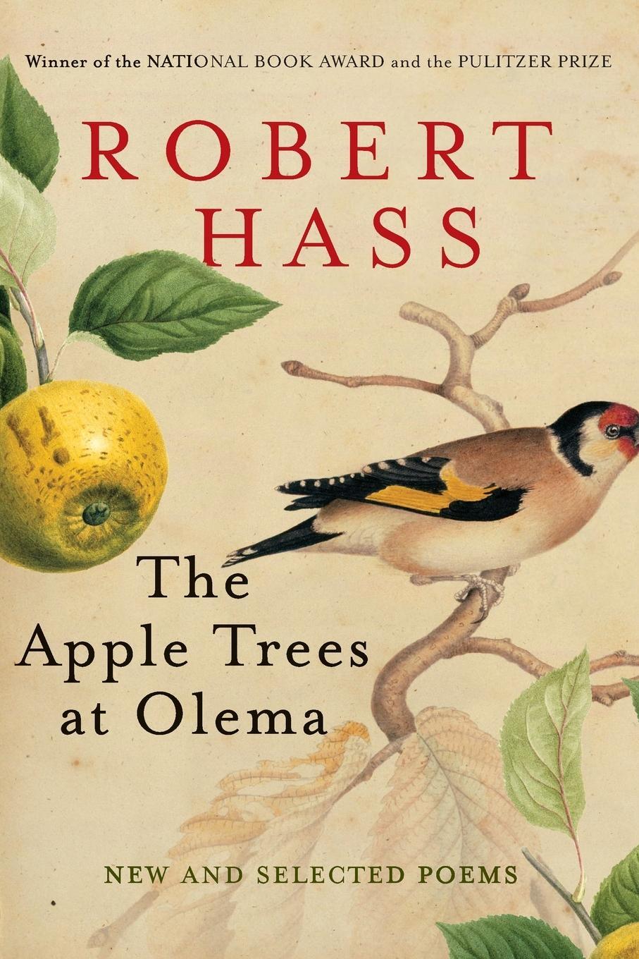 Cover: 9780061923906 | Apple Trees at Olema, The | Robert Hass | Taschenbuch | Paperback