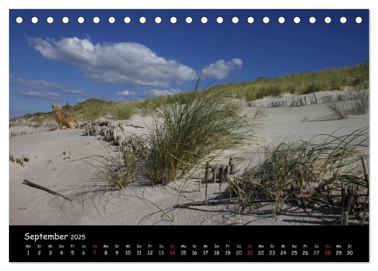 Bild: 9783435821853 | Sylt (Tischkalender 2025 DIN A5 quer), CALVENDO Monatskalender | 2025