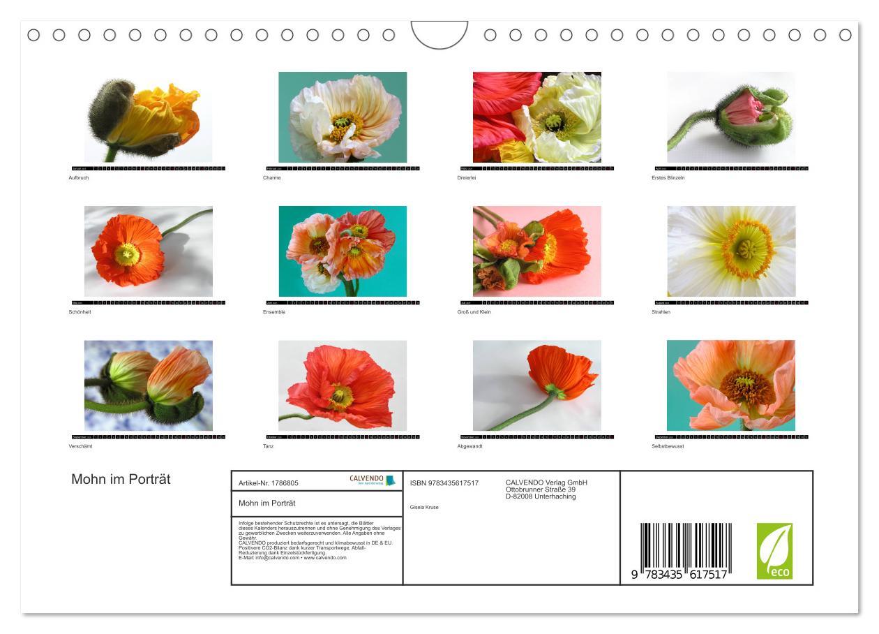 Bild: 9783435617517 | Mohn im Porträt (Wandkalender 2025 DIN A4 quer), CALVENDO...