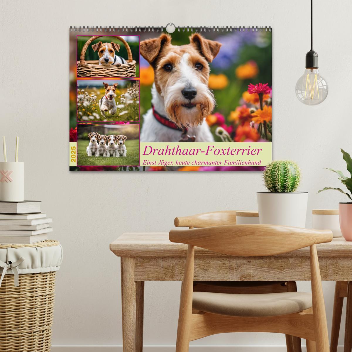 Bild: 9783435694105 | Drahthaar-Foxterrier (Wandkalender 2025 DIN A3 quer), CALVENDO...