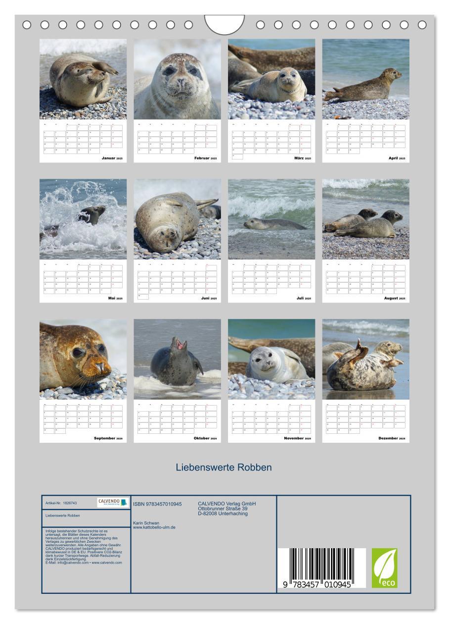 Bild: 9783457010945 | Liebenswerte Robben (Wandkalender 2025 DIN A4 hoch), CALVENDO...