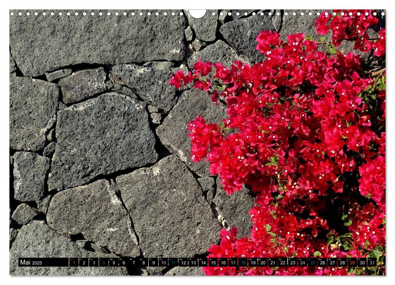 Bild: 9783435732609 | Vulkaninsel Lanzarote (Wandkalender 2025 DIN A3 quer), CALVENDO...