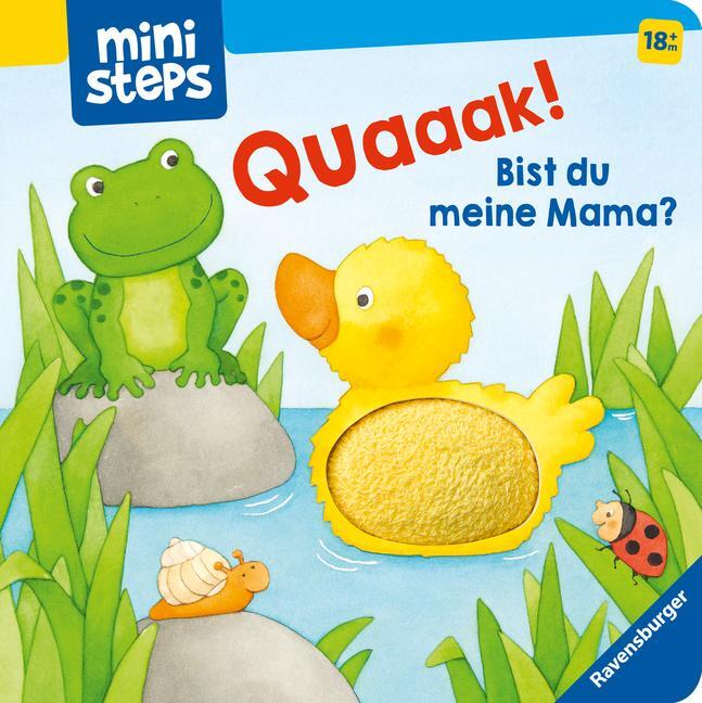 Cover: 9783473302543 | ministeps: Quak! Bist du meine Mama? | Ab 18 Monaten | Bernd Penners