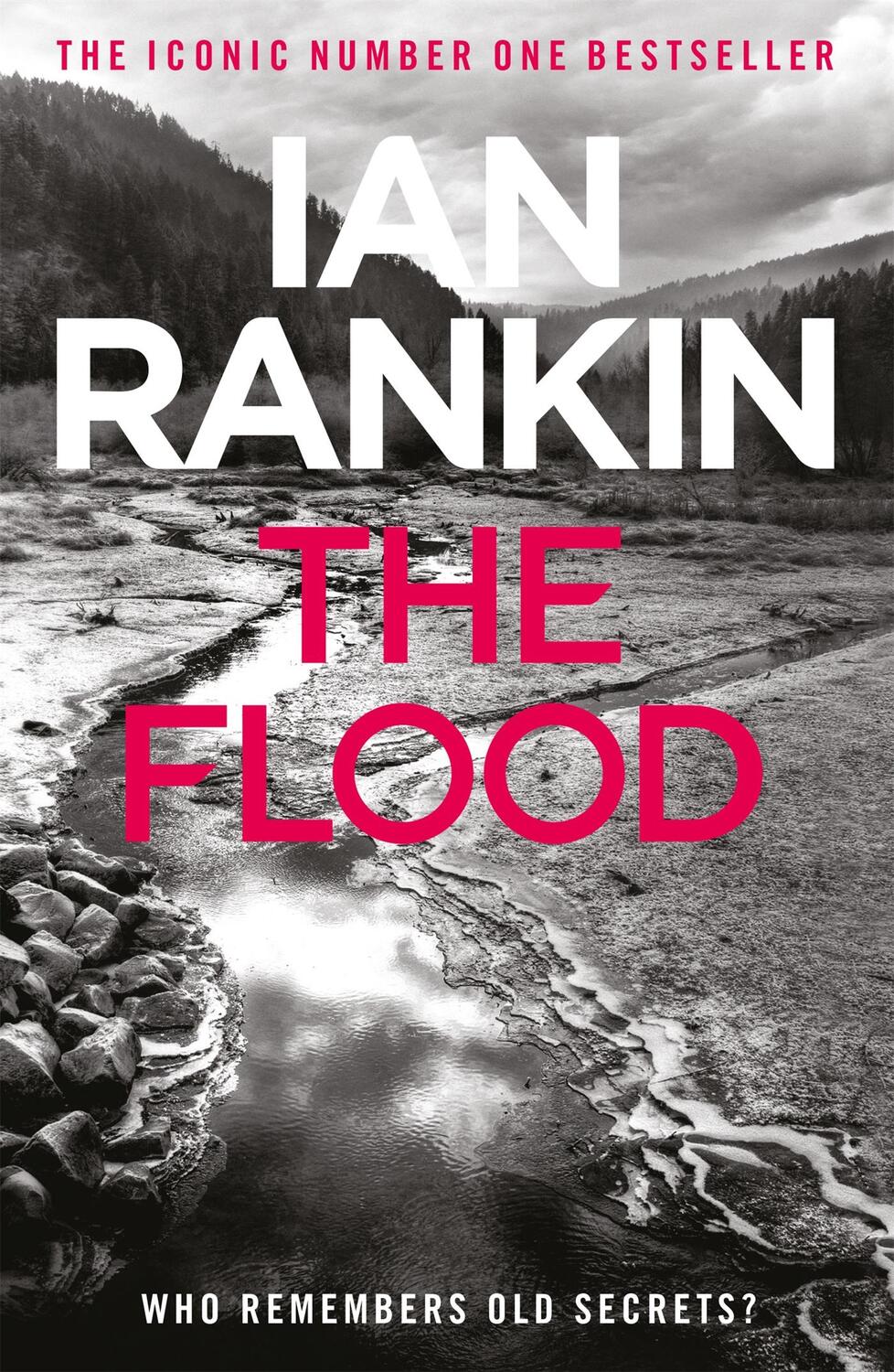 Cover: 9780752883694 | The Flood | Ian Rankin | Taschenbuch | 252 S. | Englisch | 2008