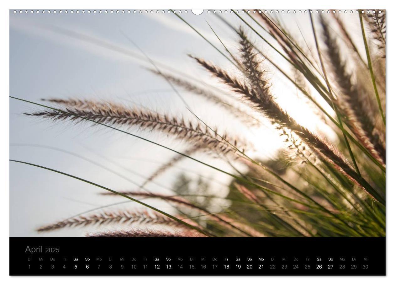 Bild: 9783435798087 | Natur im Detail (hochwertiger Premium Wandkalender 2025 DIN A2...