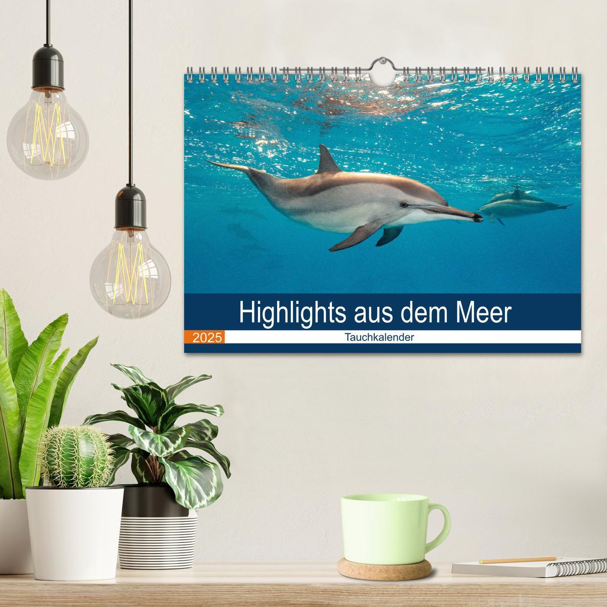 Bild: 9783435615681 | Highlights aus dem Meer - Tauchkalender (Wandkalender 2025 DIN A4...