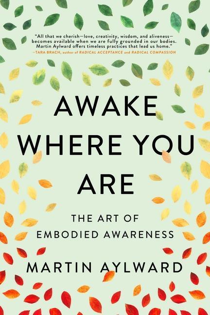 Cover: 9781614297222 | Awake Where You Are: The Art of Embodied Awareness | Martin Aylward