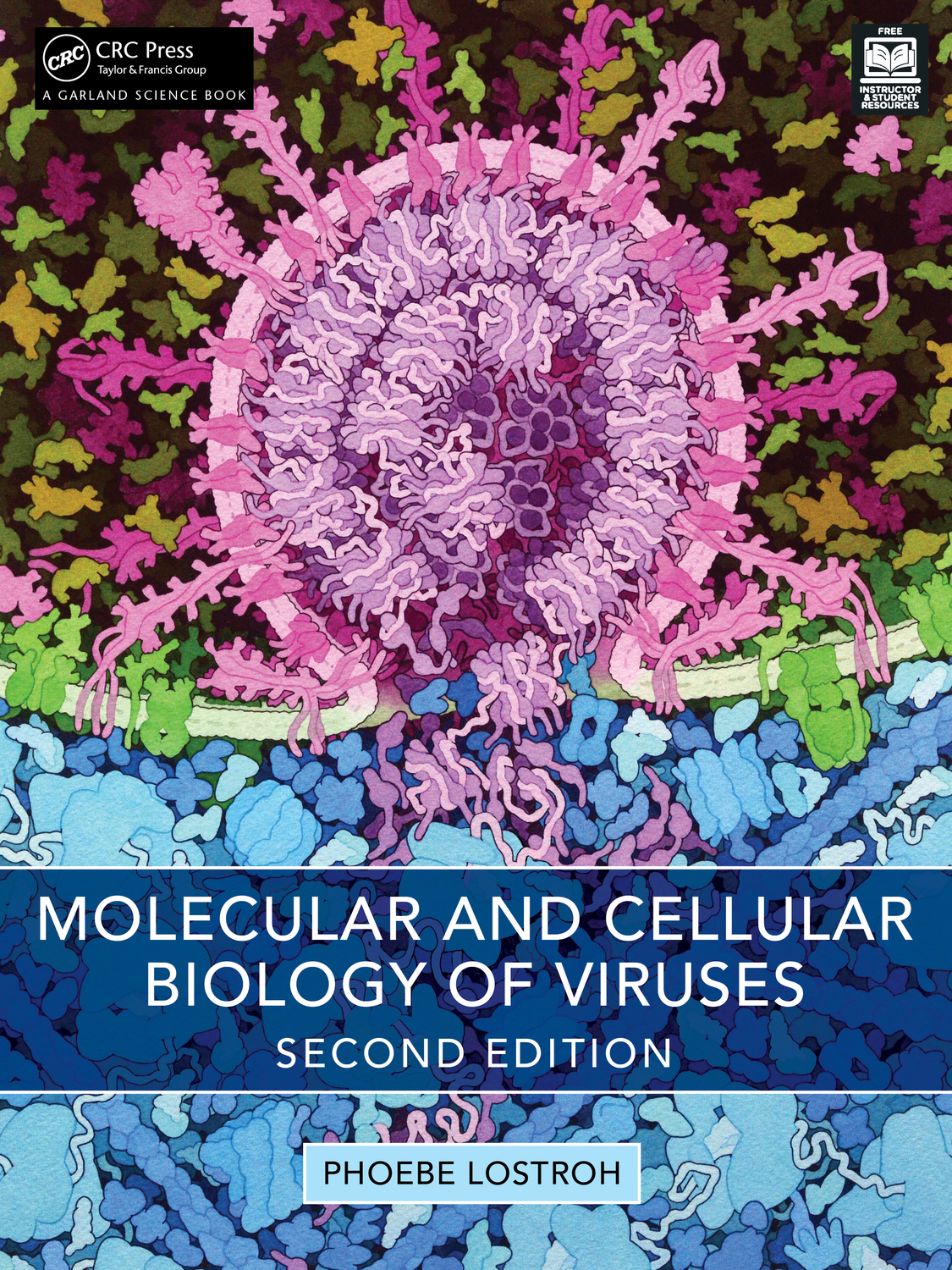 Cover: 9781032732121 | Molecular and Cellular Biology of Viruses | Phoebe Lostroh | Buch