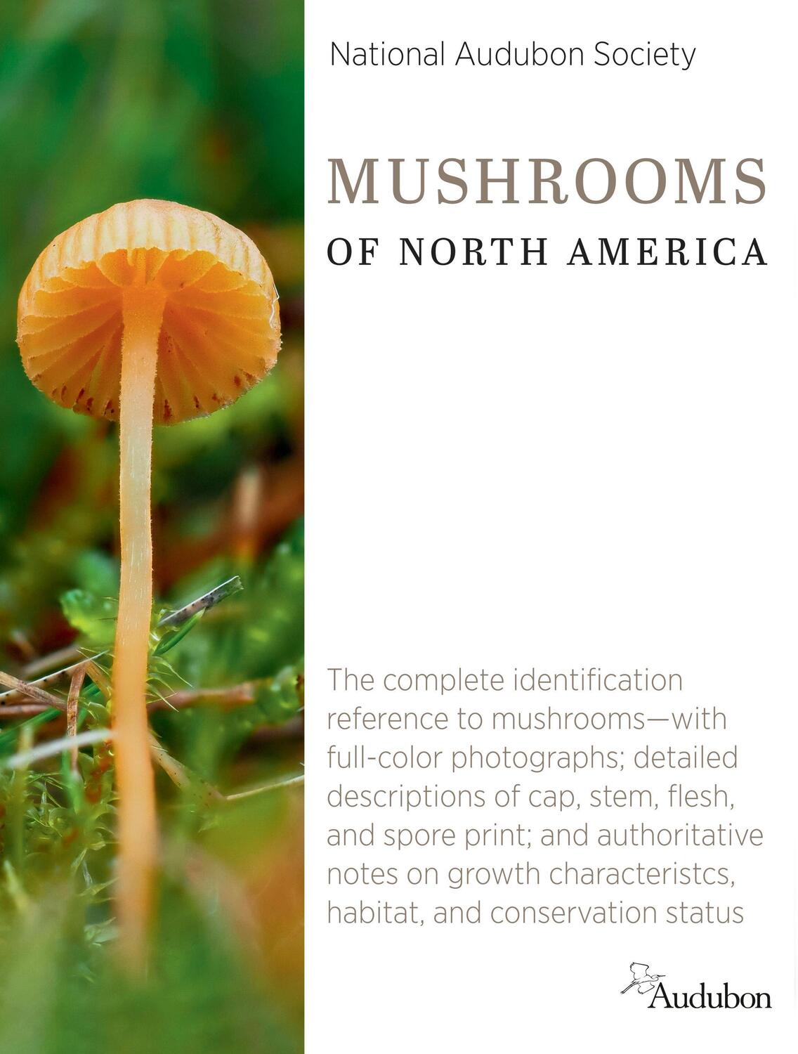 Cover: 9780593319987 | National Audubon Society Mushrooms of North America | Society | Buch
