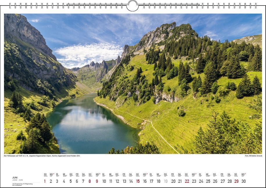 Bild: 9783861924043 | Bodensee Wasser.Berge.Licht. 2025 | Stefan Arendt | Kalender | 13 S.