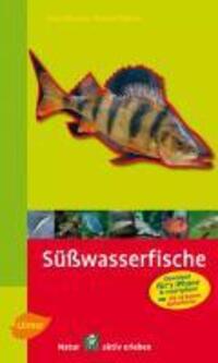 Cover: 9783800159369 | Steinbachs Naturführer Süßwasserfische | entdecken und erkennen | Buch