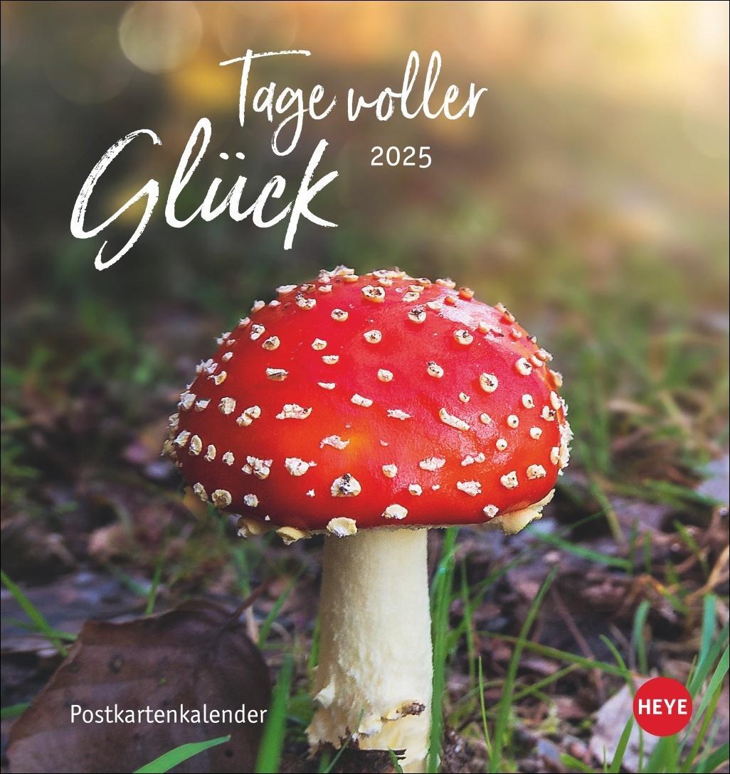 Cover: 9783756406920 | Tage voller Glück Postkartenkalender 2025 | Heye | Kalender | 13 S.