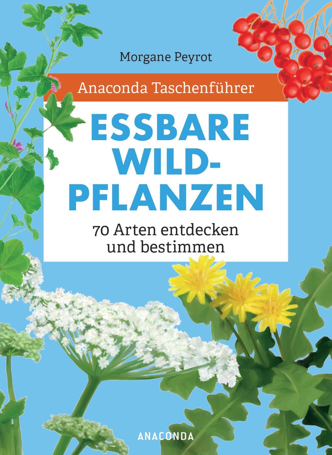 Cover: 9783730609491 | Anaconda Taschenführer Essbare Wildpflanzen. 70 Arten bestimmen und...