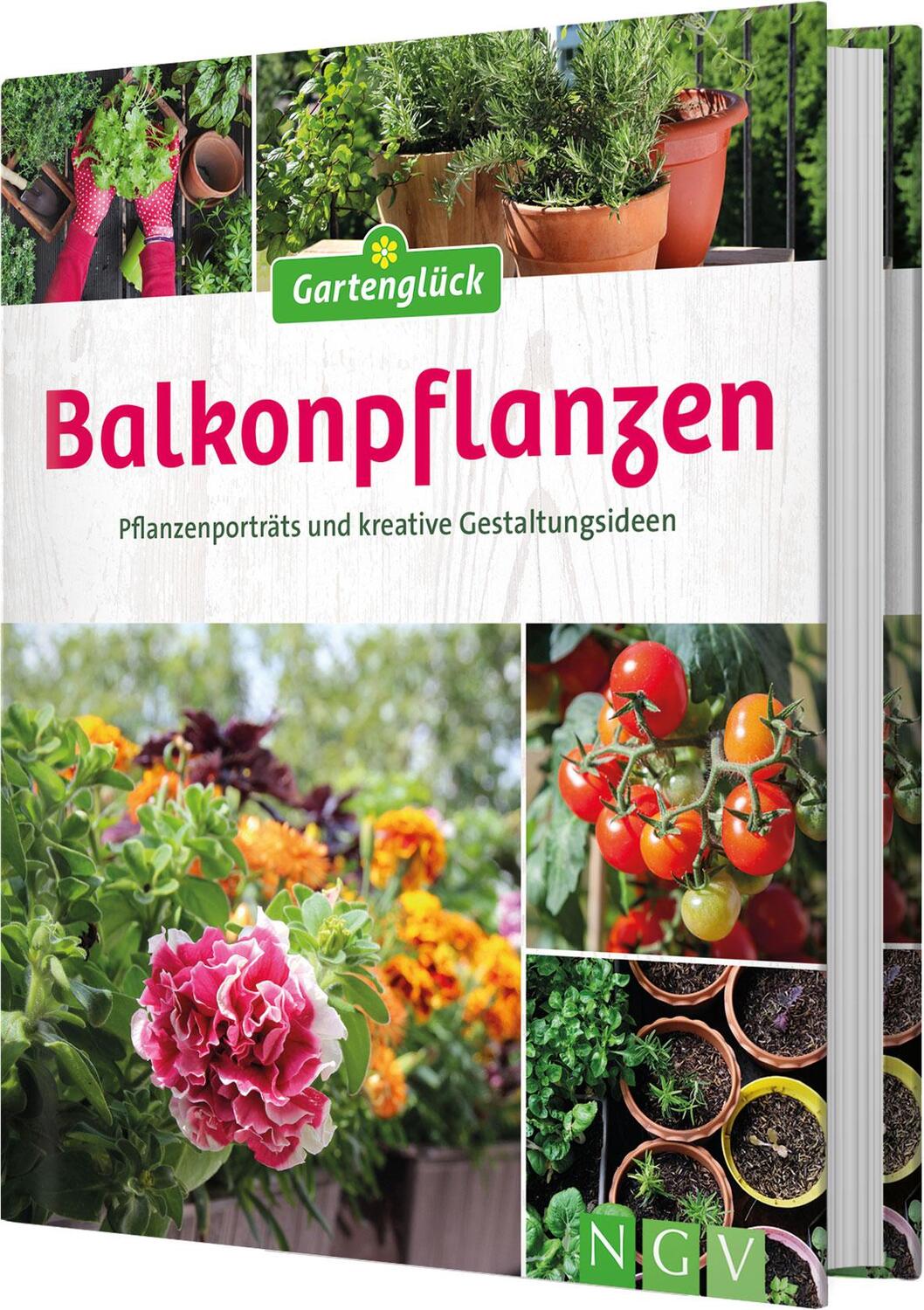 Cover: 9783625189008 | Balkonpflanzen | Pflanzenporträts und kreative Gestaltungsideen | Buch