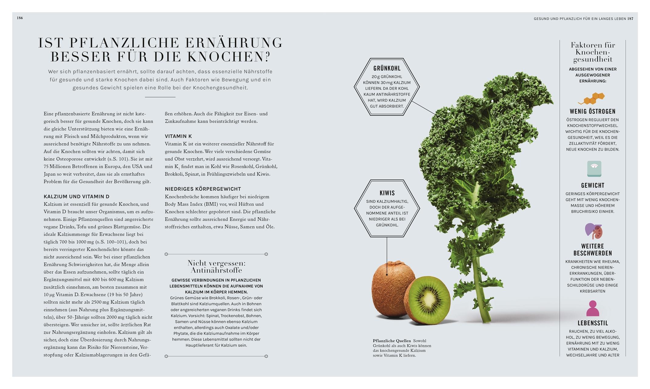 Bild: 9783831050338 | Plantbased - aber richtig! | Rhiannon Lambert | Taschenbuch | 224 S.