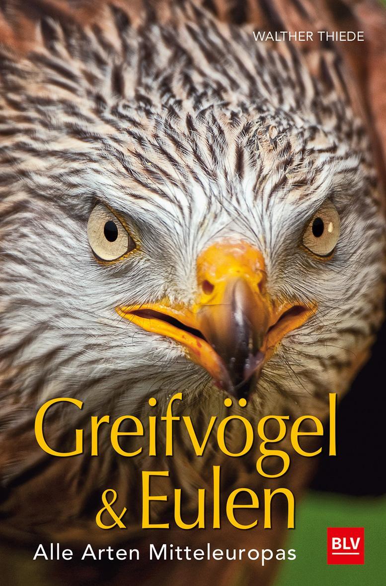 Cover: 9783835418981 | BLV Greifvögel &amp; Eulen | Alle Arten Mitteleuropas | Walther Thiede