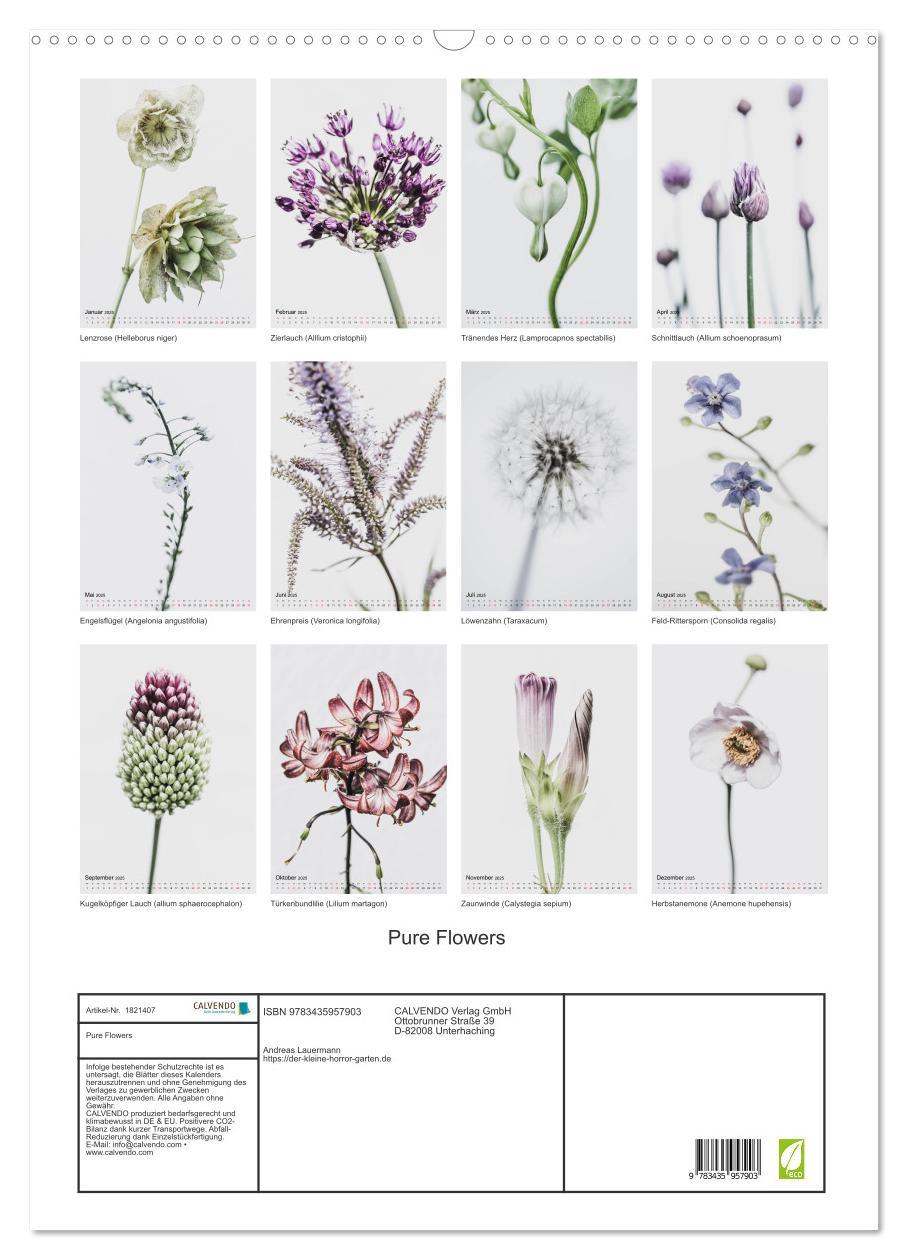 Bild: 9783435957903 | Pure Flowers (Wandkalender 2025 DIN A2 hoch), CALVENDO Monatskalender