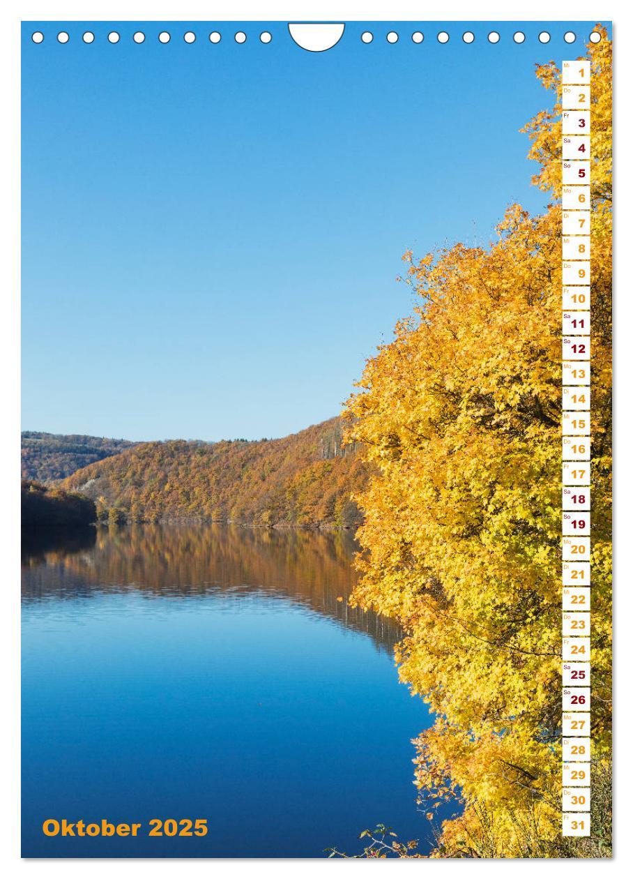 Bild: 9783435945481 | EIFEL - Kraftorte Wald und Wasser (Wandkalender 2025 DIN A4 hoch),...