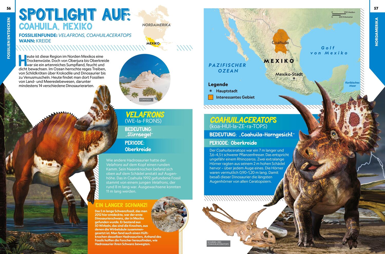 Bild: 9788863125450 | Dinosaurier-Atlas: Wo die Dinos lebten | National Geographic Kids