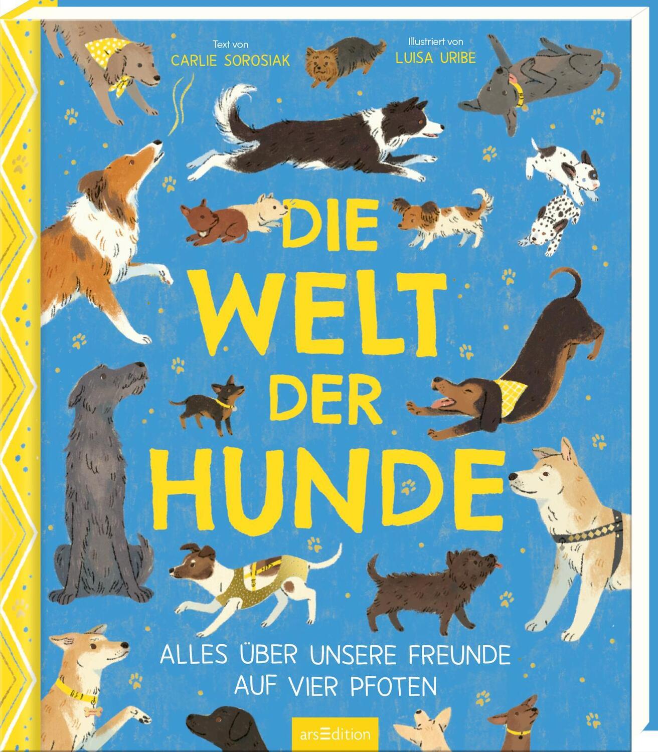 Cover: 9783845858432 | Die Welt der Hunde | Alles über unsere Freunde auf vier Pfoten | Buch