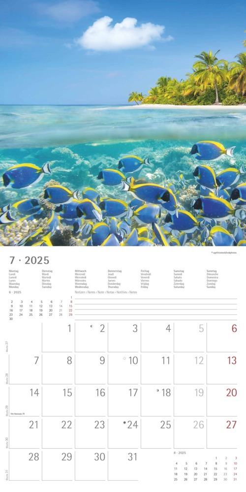 Bild: 4251732340872 | Alpha Edition - Summer Dreams 2025 Broschürenkalender, 30x30cm,...