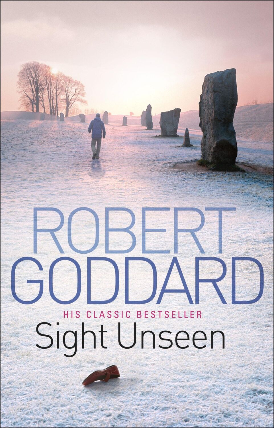 Cover: 9780552164924 | Sight Unseen | Robert Goddard | Taschenbuch | Kartoniert / Broschiert