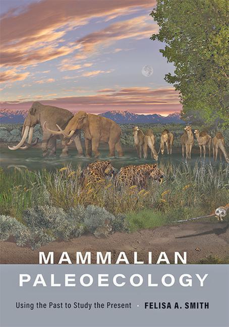 Cover: 9781421441405 | Mammalian Paleoecology | Using the Past to Study the Present | Smith