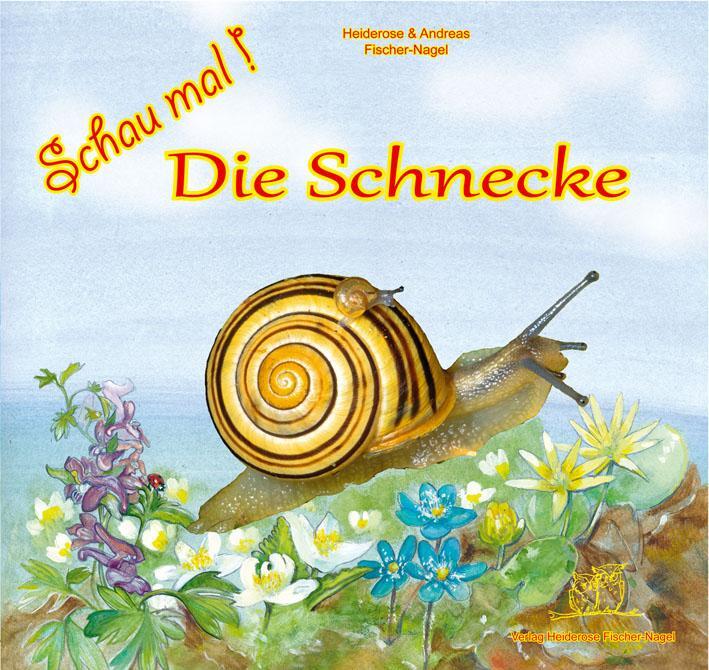 Cover: 9783930038602 | Schau mal! Die Schnecke | Heiderose Fischer-Nagel | Buch | 32 S.