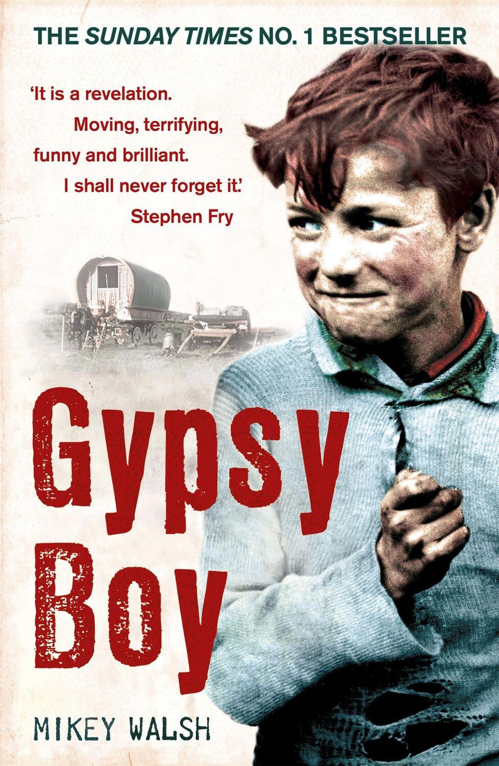 Cover: 9780340977989 | Gypsy Boy | The bestselling memoir of a Romany childhood | Mikey Walsh