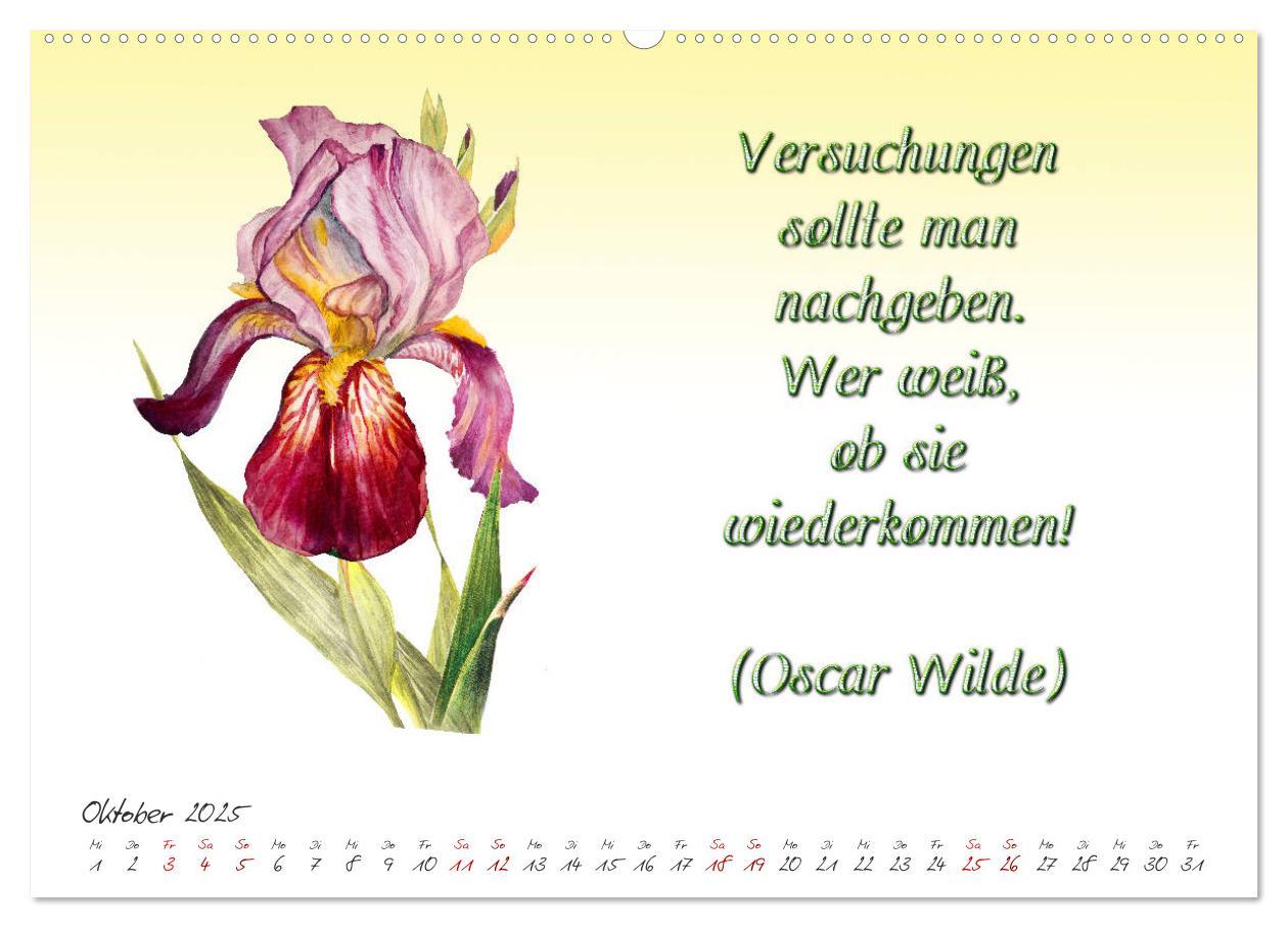 Bild: 9783435397990 | 12 unterhaltsame Zitate für ein schönes Jahr (Wandkalender 2025 DIN...