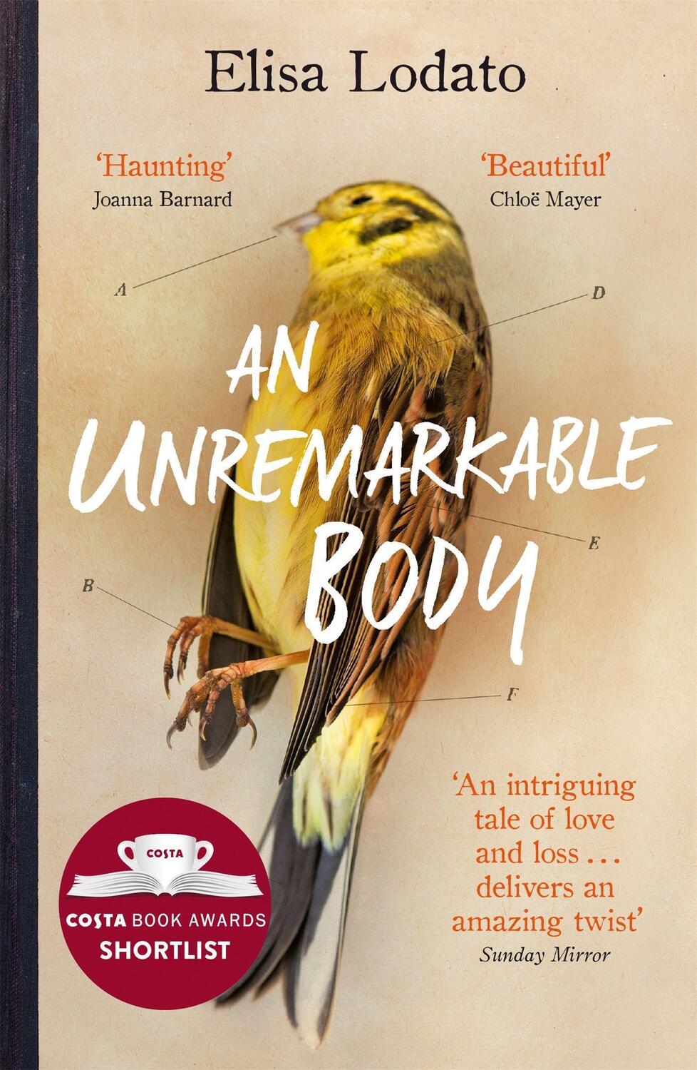 Cover: 9781474606356 | An Unremarkable Body | Elisa Lodato | Taschenbuch | Englisch | 2018