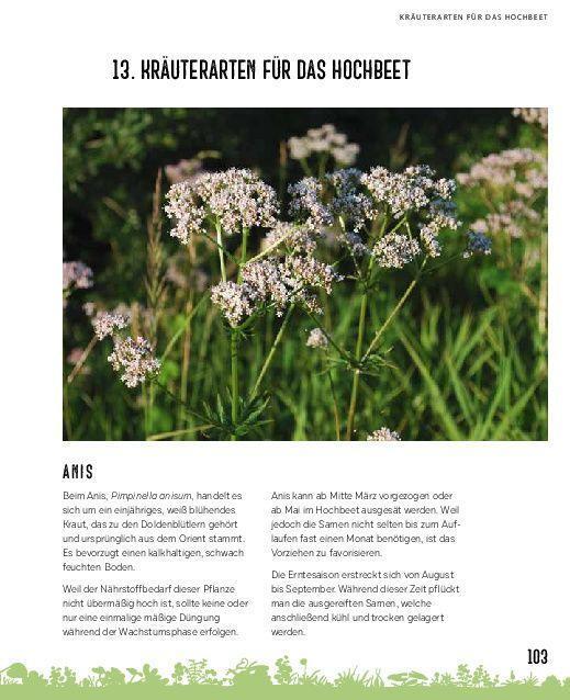 Bild: 9783966643566 | Hochbeete für jeden Garten: Pflanzen - Pflegen - Ernten | Axel Gutjahr
