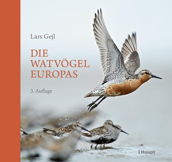 Cover: 9783258083919 | Die Watvögel Europas | Lars Gejl | Buch | 376 S. | Deutsch | 2024