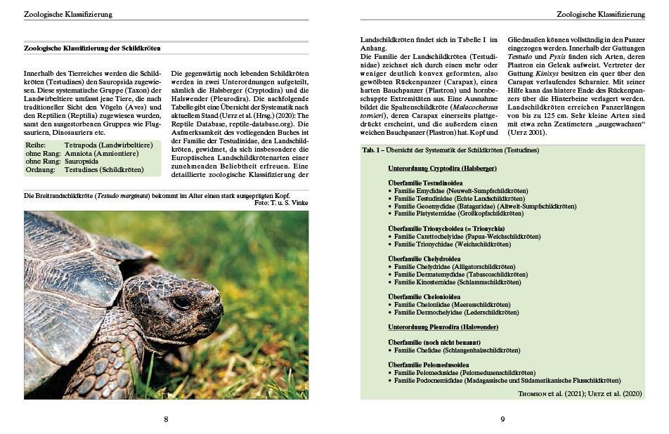 Bild: 9783866594838 | Ernährung von Landschildkröten | Carolin Dennert | Taschenbuch | 2022