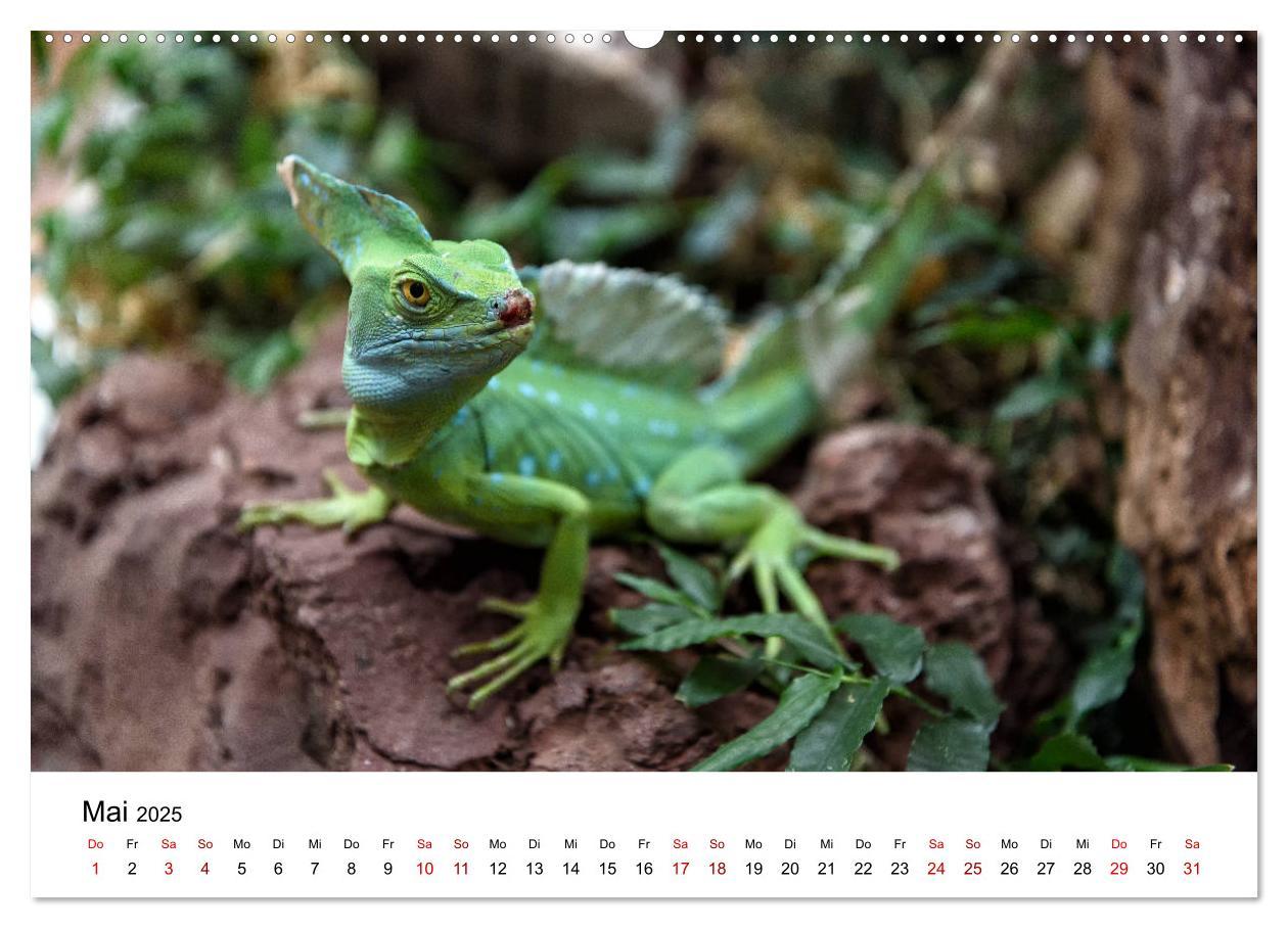 Bild: 9783435273997 | Costa Rica - das Naturparadies (Wandkalender 2025 DIN A2 quer),...