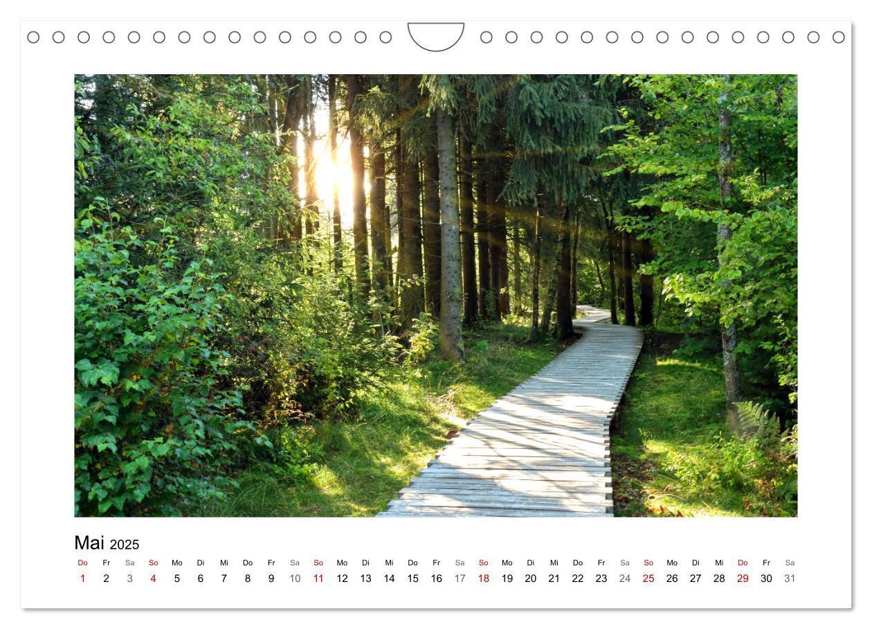 Bild: 9783435026791 | Rotes und Schwarzes Moor (Wandkalender 2025 DIN A4 quer), CALVENDO...