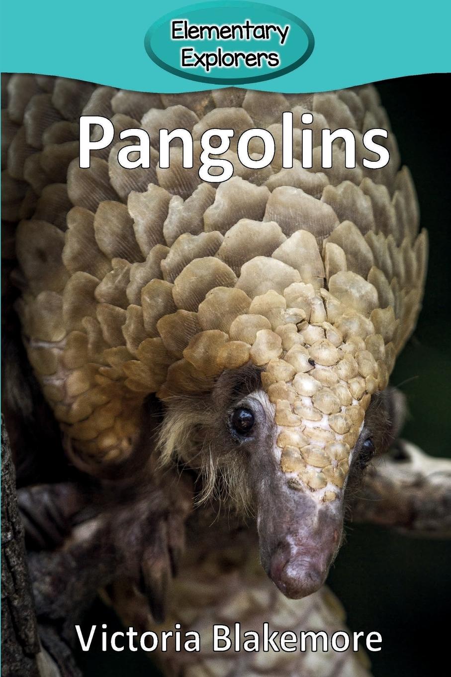 Cover: 9780998985558 | Pangolins | Victoria Blakemore | Taschenbuch | Kartoniert / Broschiert