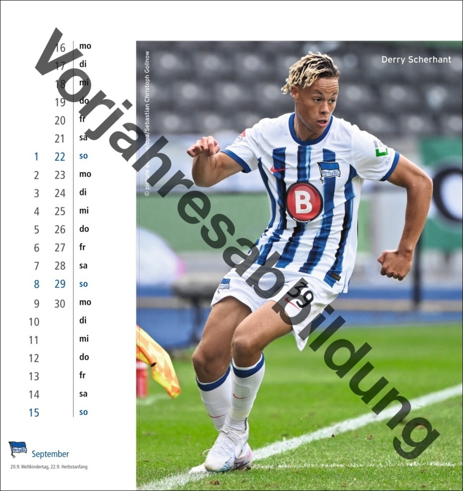 Bild: 9783756405480 | Hertha BSC Postkartenkalender 2025 | Kalender | Spiralbindung | 13 S.