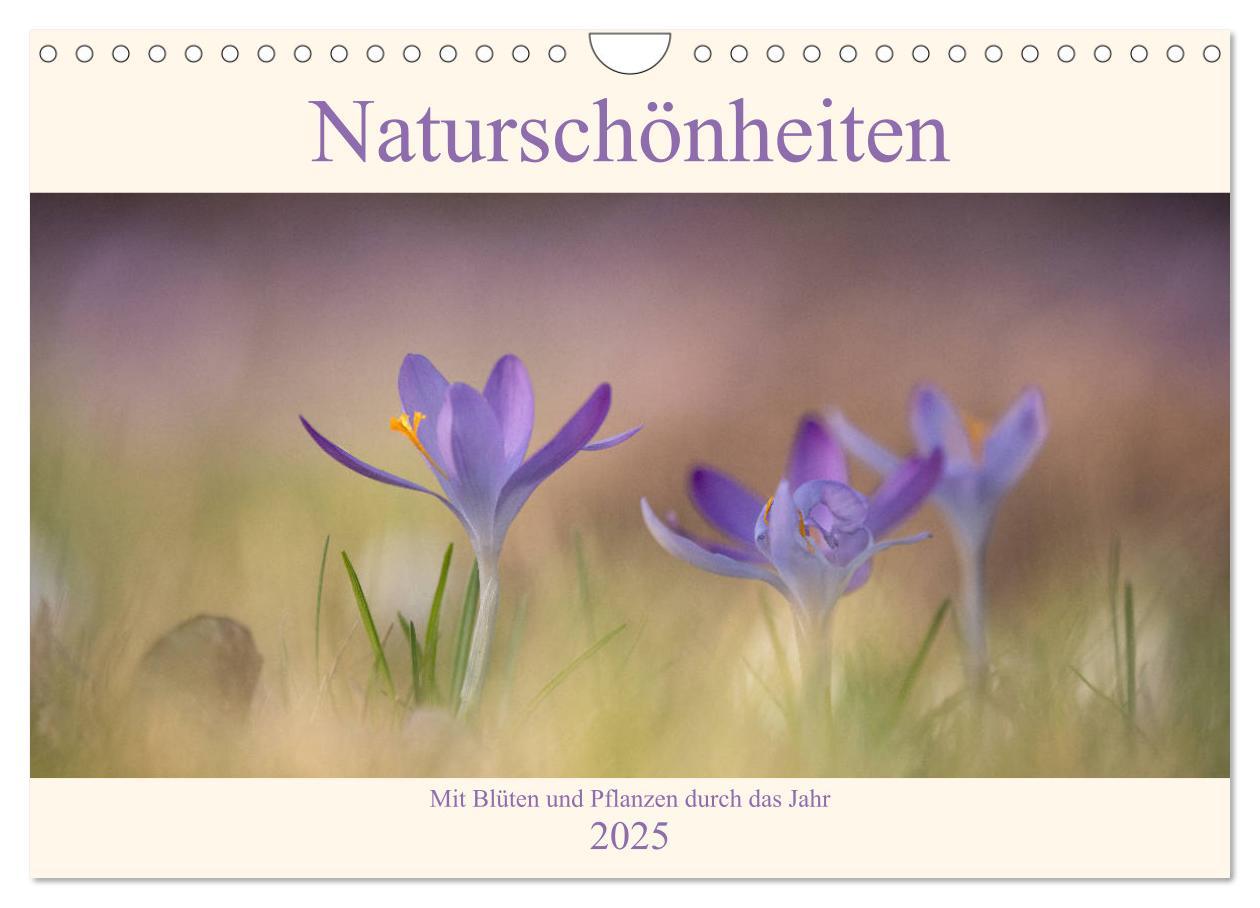 Cover: 9783435179725 | Naturschönheiten - mit Blüten und Pflanzen durch das Jahr...