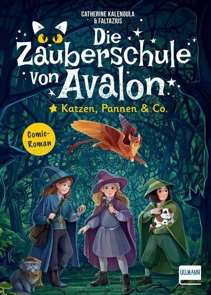 Cover: 9783741527630 | Die Zauberschule von Avalon - Katzen, Pannen &amp; Co. | Kalengula | Buch