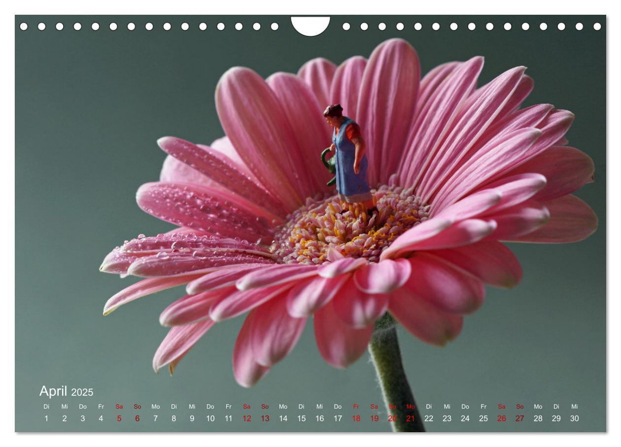 Bild: 9783457224397 | Das geheime Leben von Miniatur-Figuren (Wandkalender 2025 DIN A4...